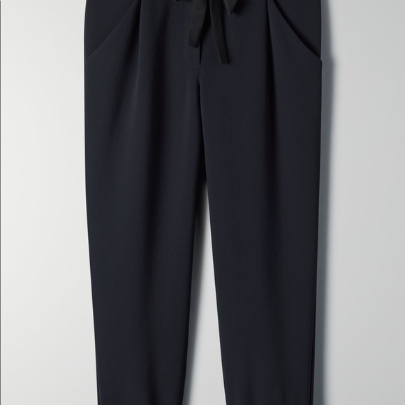 Aritzia Allant pants - Picture 3 of 3